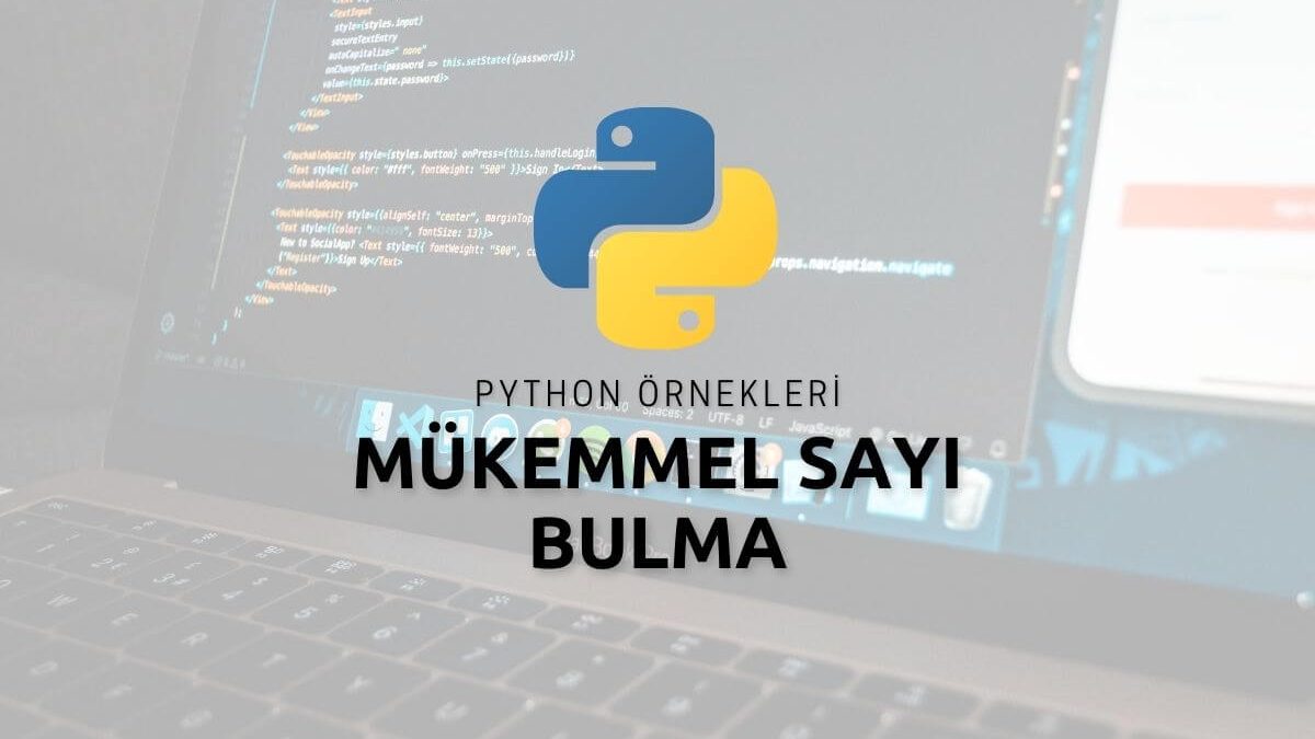 Python Mükemmel Sayı Bulma