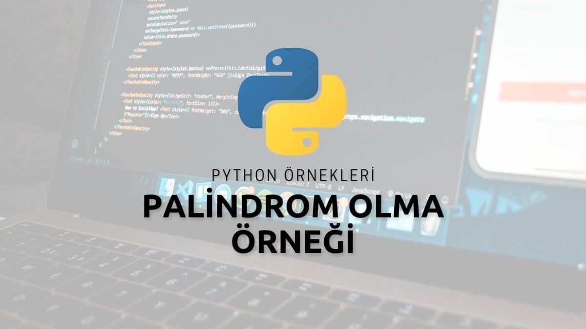 Python Palindrom Olma Örneği