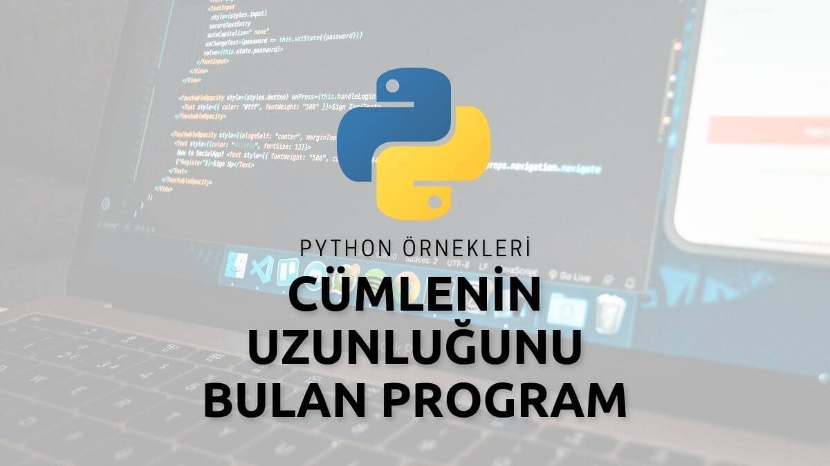 Python Cümlenin Uzunluğunu Bulan Program