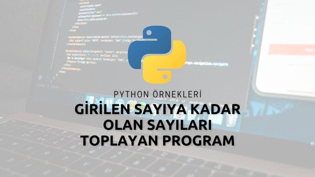 Python Girilen Sayıya Kadar Olan Sayıları Toplayan Program